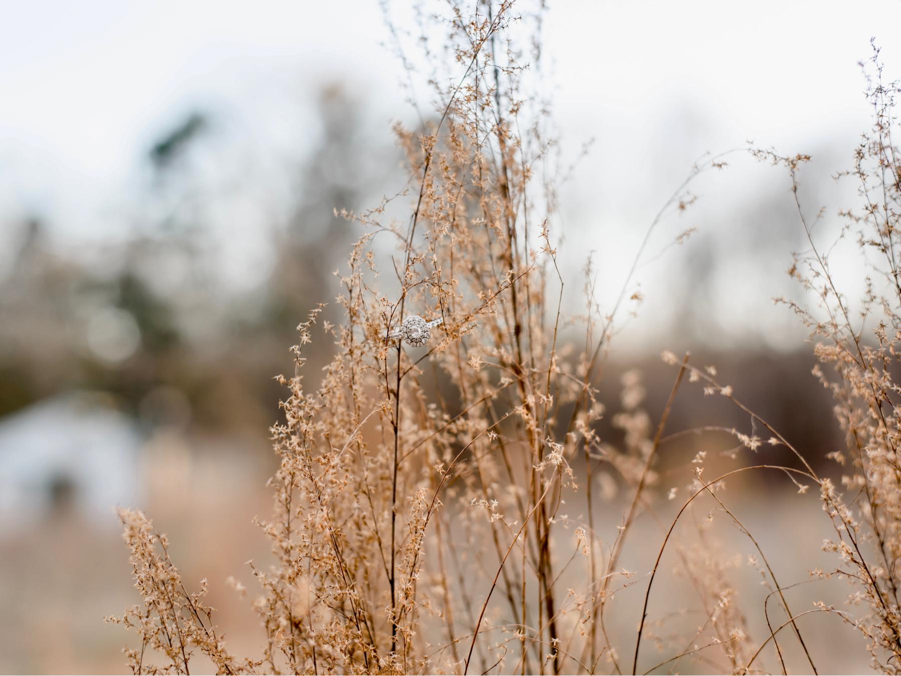 The Wedding Website of Alex Russell and Austin King