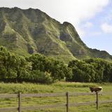 Kualoa Ranch