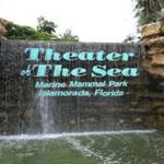 Theater of the Sea