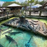 Gatorland
