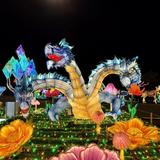 Tianyu Lights Festival Phoenix