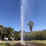 Old Faithful Geyser of California