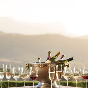 African Wine Tasting - Honeymoon Fund