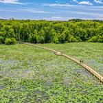 South Trailhead for The Boardwalk at Lake Weatherford