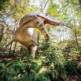 Museum of Life and Science