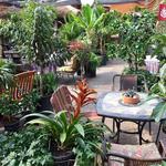 Origins Cafe