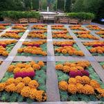 The North Carolina Arboretum