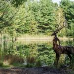 Stevens Point Sculpture Park