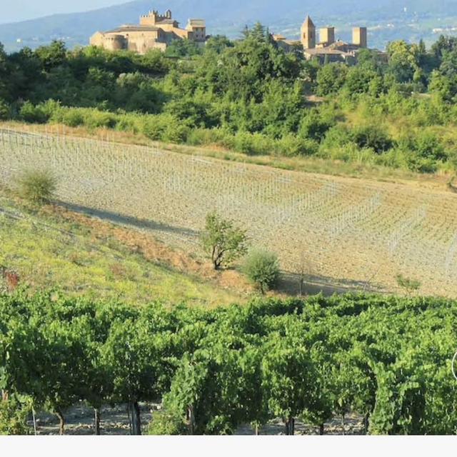 Florence and Wine Tasting at Tuscan Castle