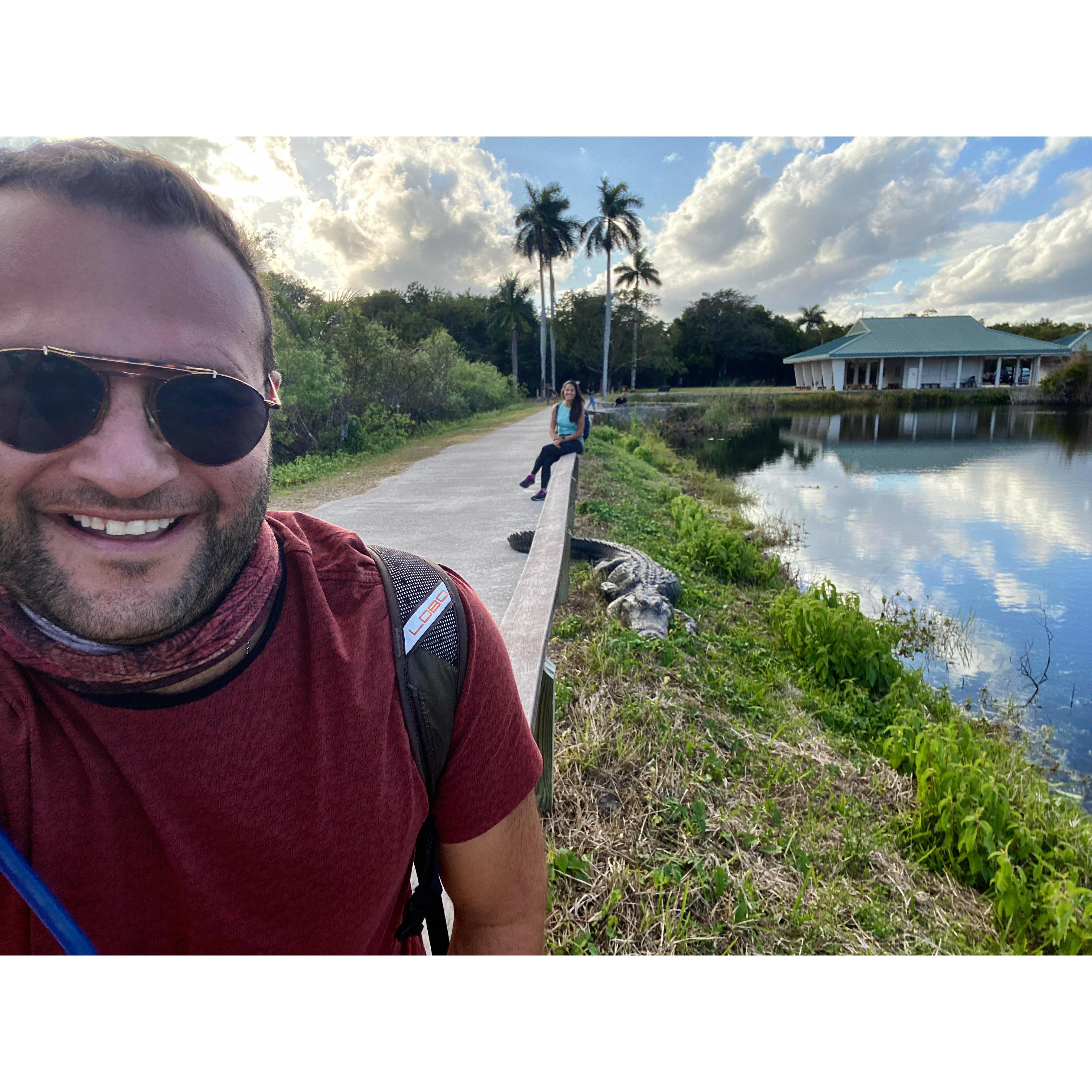On the way to hang out with the Gators in the Everglades!