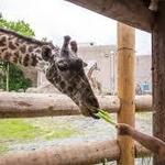 Roger Williams Park Zoo