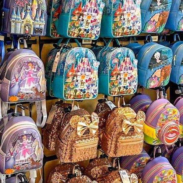 Gift Sophie her Pick of a Cute Purse and Wallet from the Parks👛