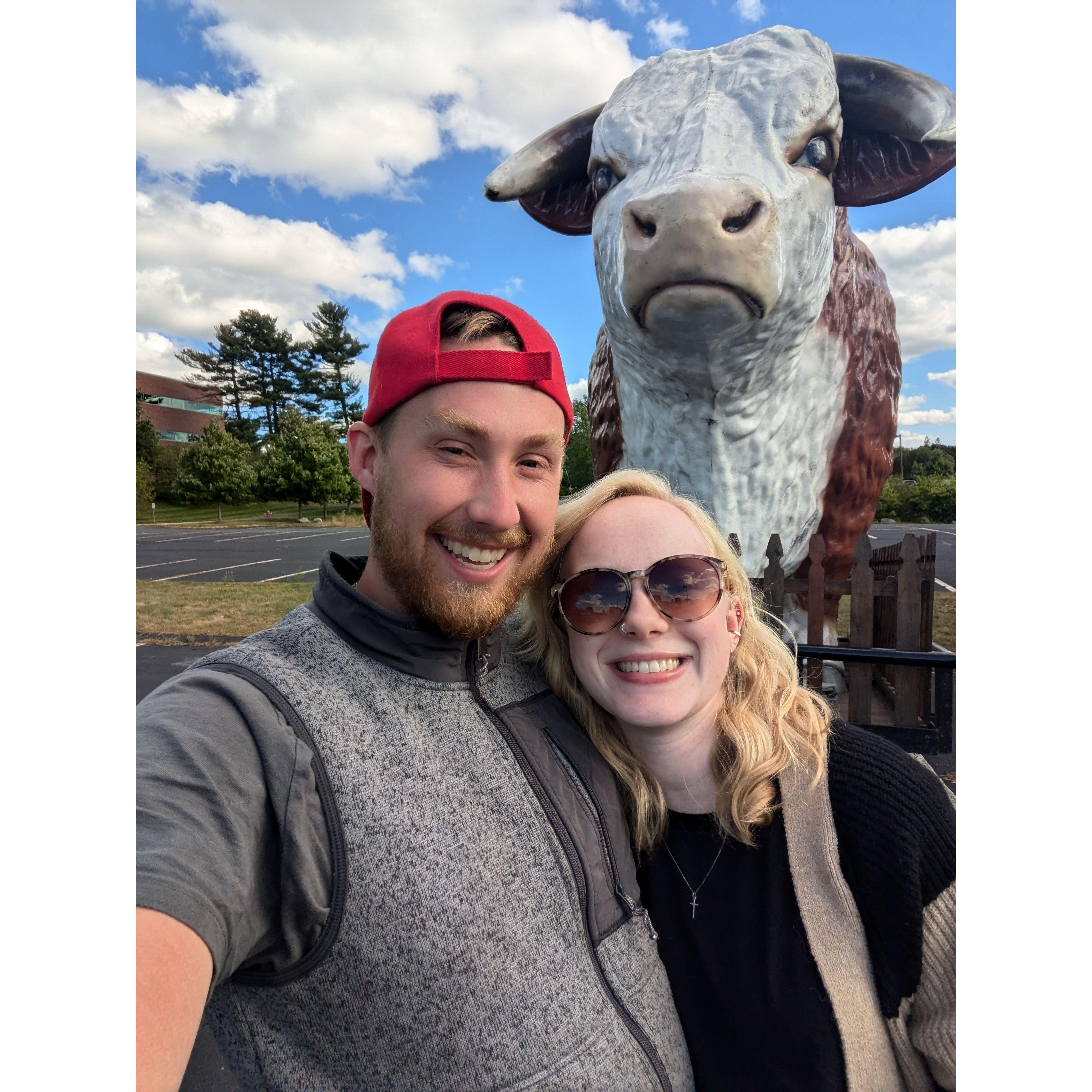 found a massive cow at a carnival