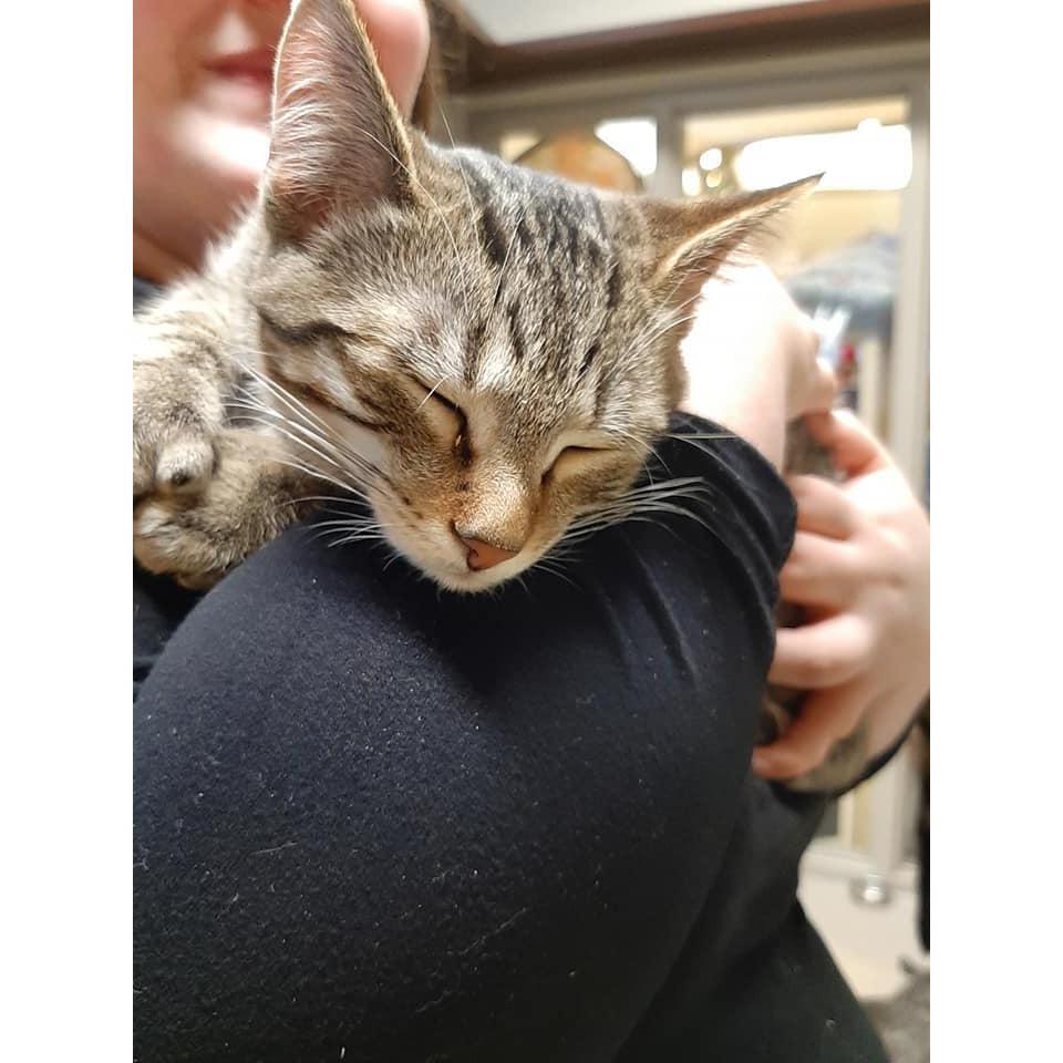 The day we adopted Pepper, our oldest. He's 6 now!