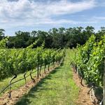 Truro Winery