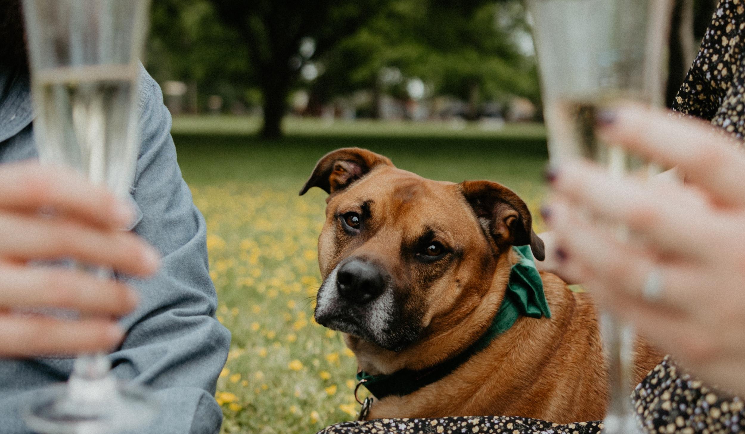 Hero Slideshow Image 0