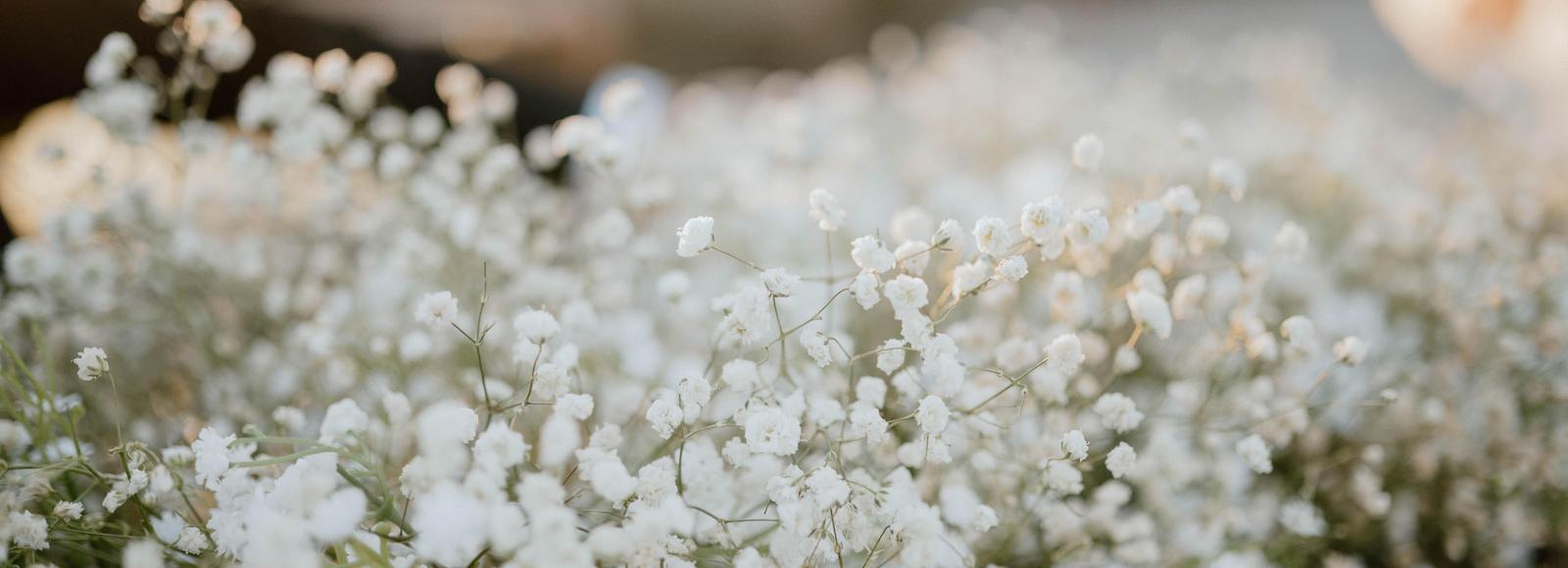 The Wedding Website of Catherine Wilkinson and William Travis