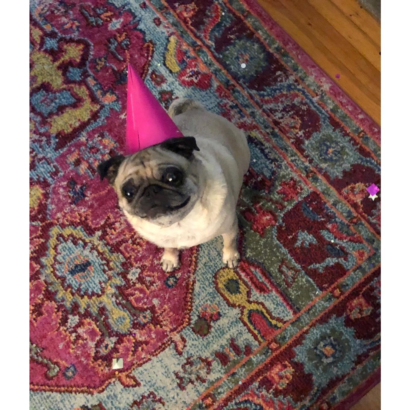 Bodhi at Dad's surprise party. 2019.