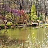Edith J. Carrier Arboretum