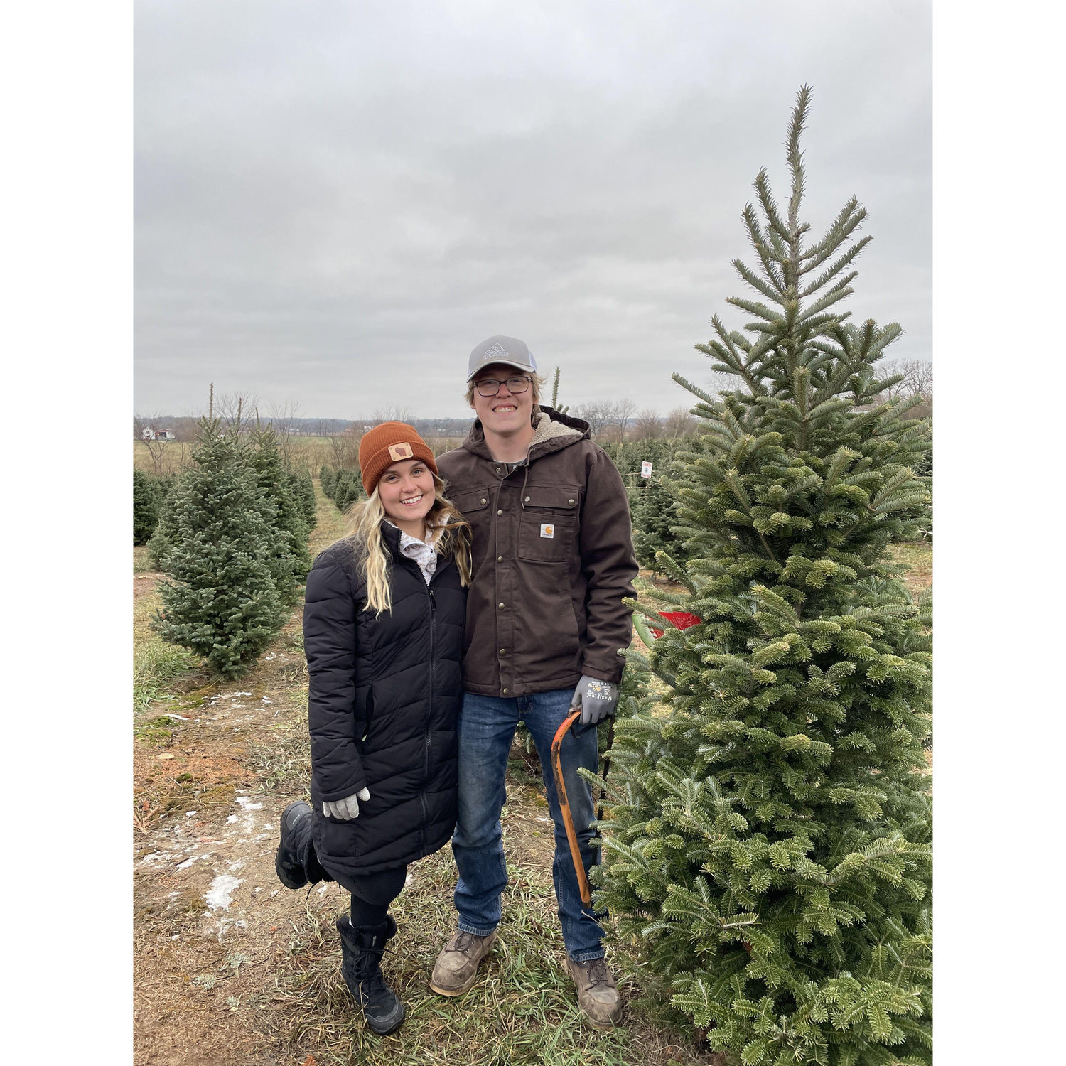 Our first Christmas tree to put in our new home