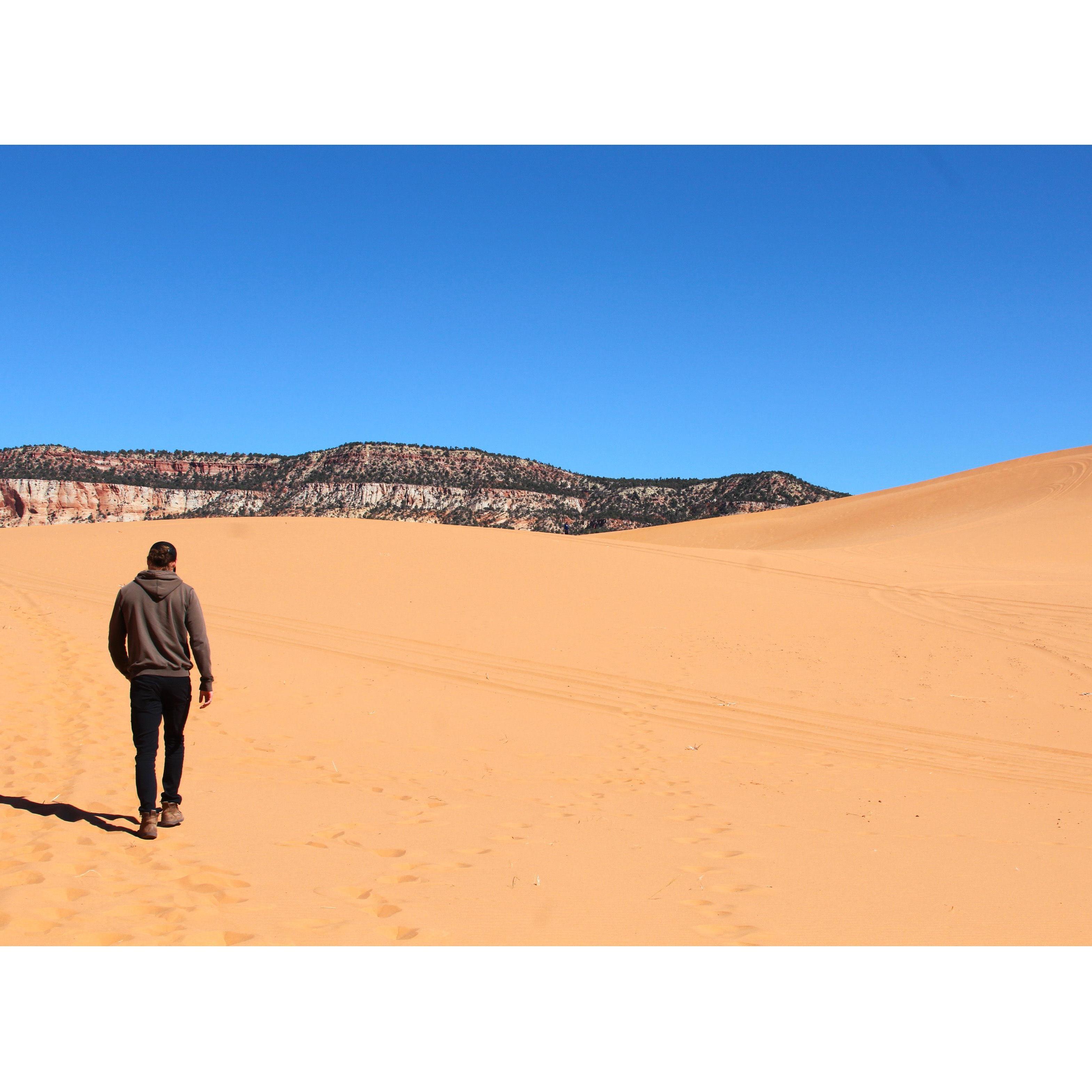 Coral Pink Sand Dunes State Park, 2022
