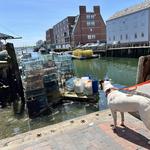 Stroll the Streets of Old Port