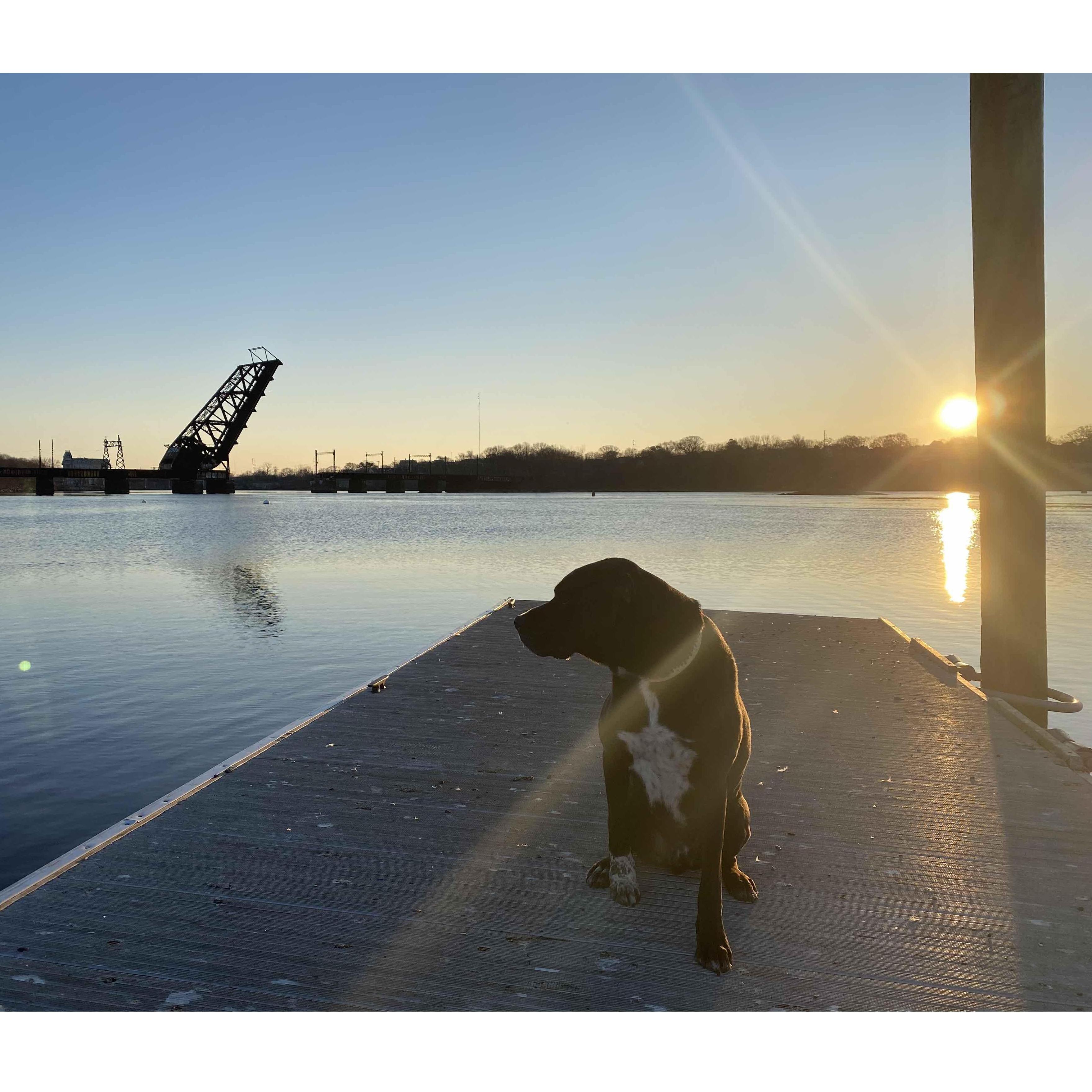 Our home, Fox Point