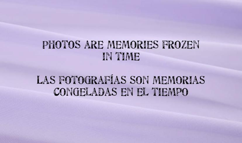 The Wedding Website of David Dominguez and Abigail Cortes