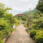 Lake Lure Flowering Bridge
