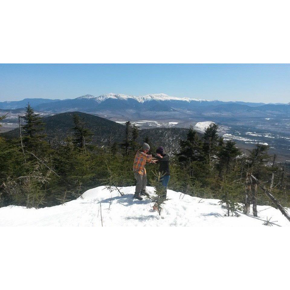 Mount Waumbek