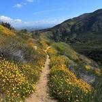 Best Trails near Temecula, CA