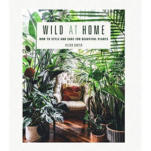Wild at Home: How to style and care for beautiful plants
