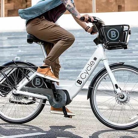B cycle membership