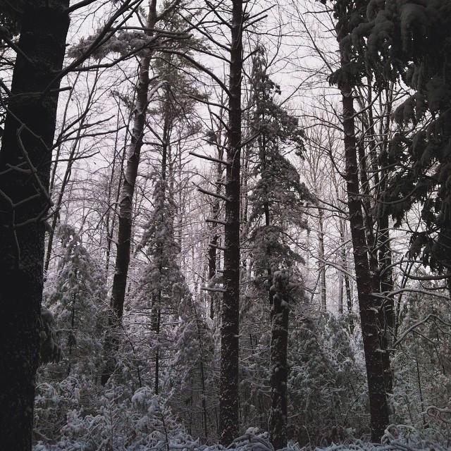 January 15th, 2015:
Exploring the snows of Northern Michigan! ❄️