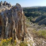 Petrified Forest