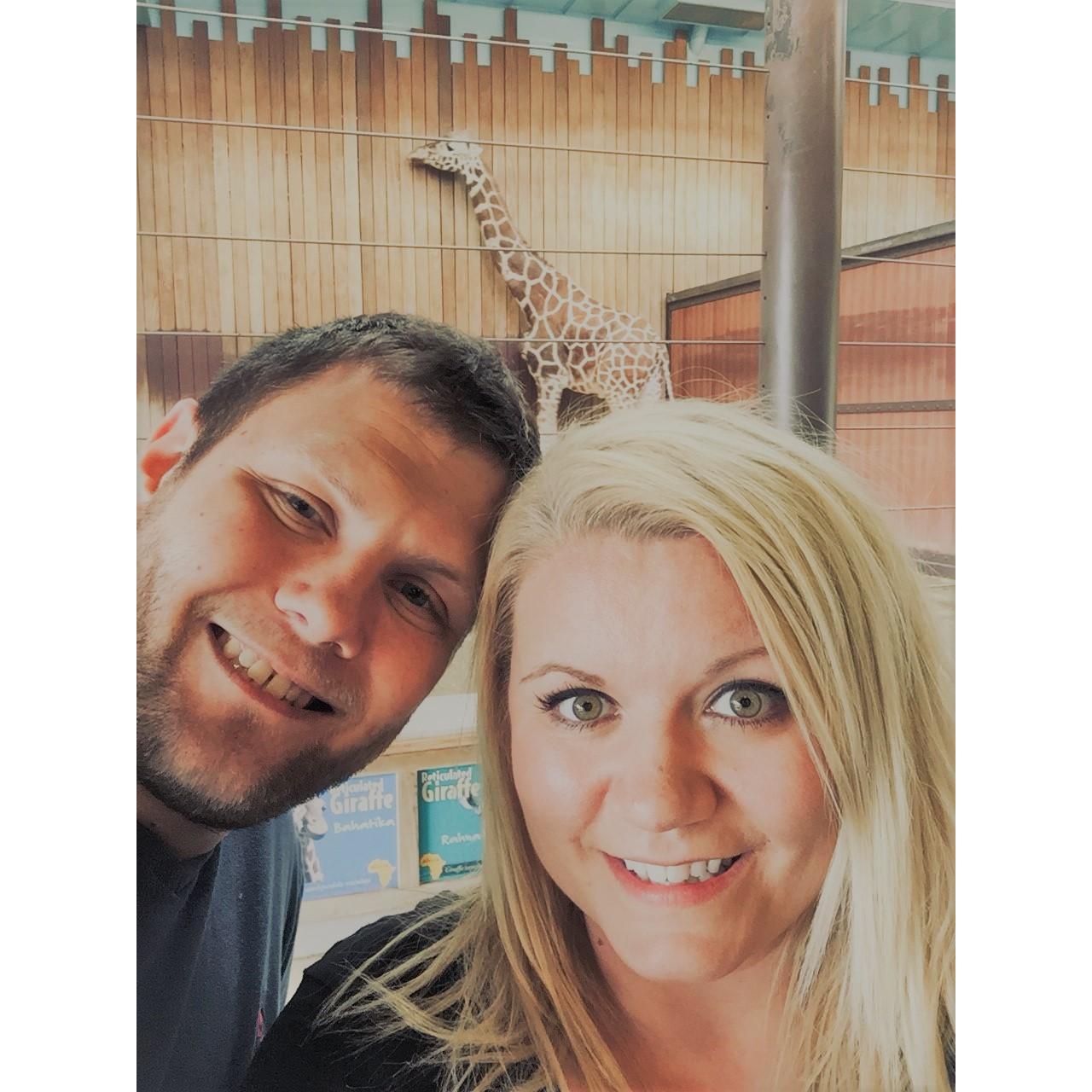 Niki loves giraffes... and all other animals!