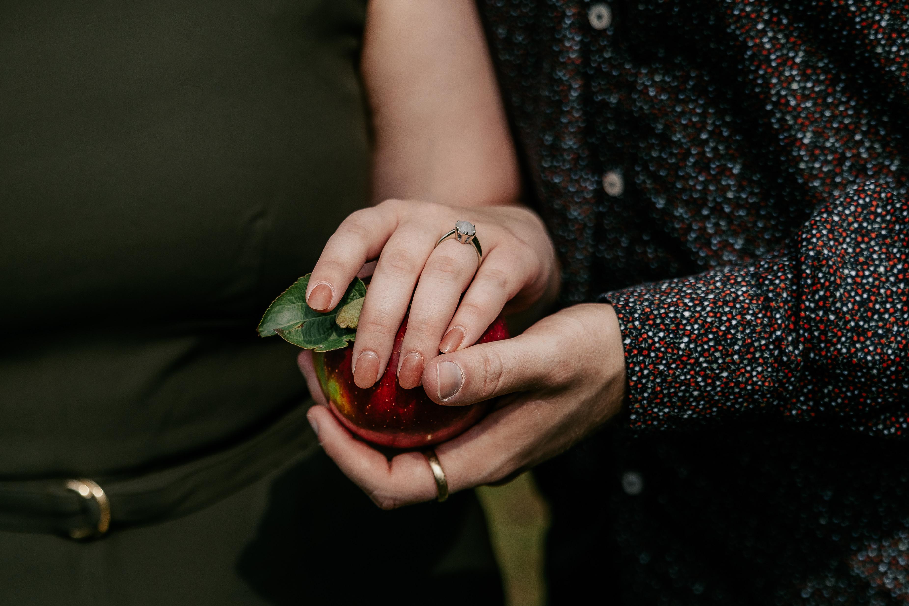 The Wedding Website of Erin Reimel and Jacob Clements