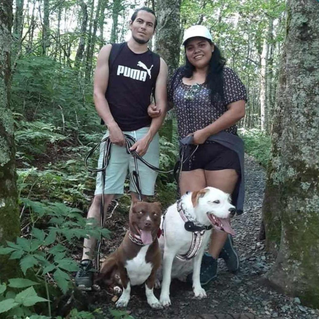 Nuestro primer paseo a las montañas.
