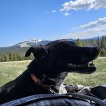 Pipestone Rentals & Adventures