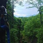 Canopy Ridge Farm
