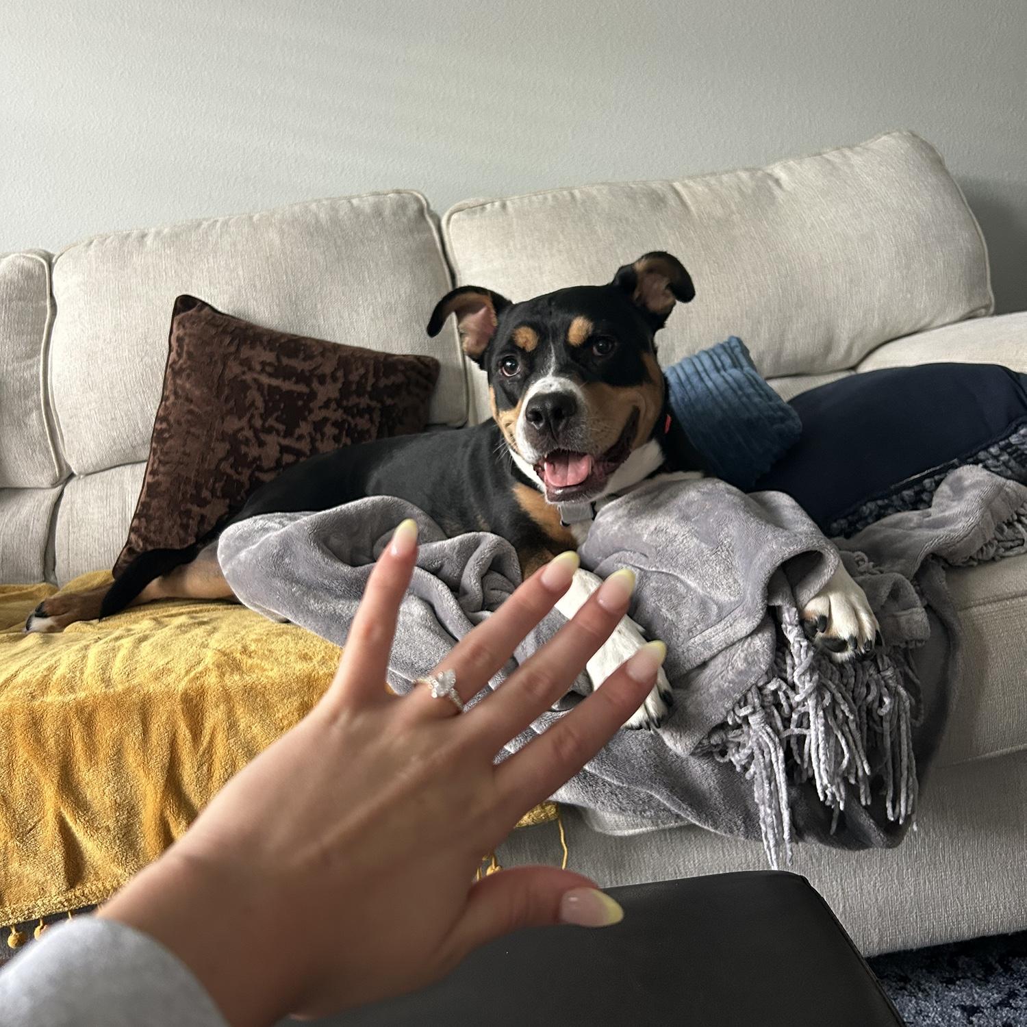 Bruce approved of the ring, the proposal, and most importantly ... Max!