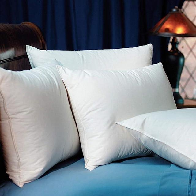 Pacific Coast Touch of Down Standard Pillow Set (2 Standard Pillows)