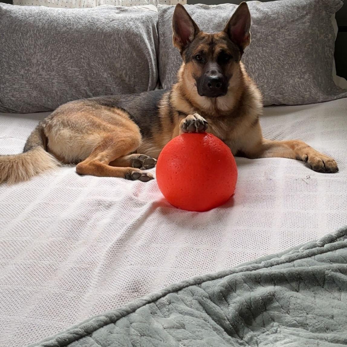 his soccer pose
