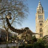 National History Museum