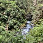 Olympic National Park
