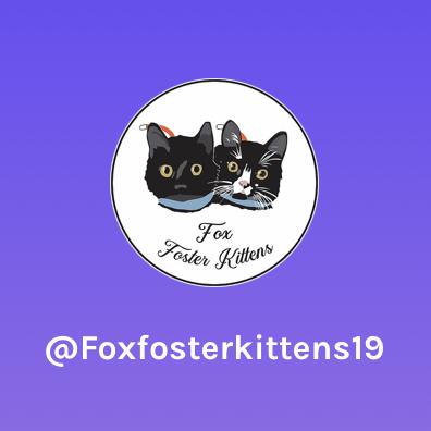 Donation to Fox Foster Kittens