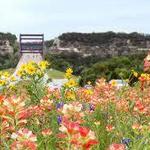 Lady Bird Johnson Wildflower Center