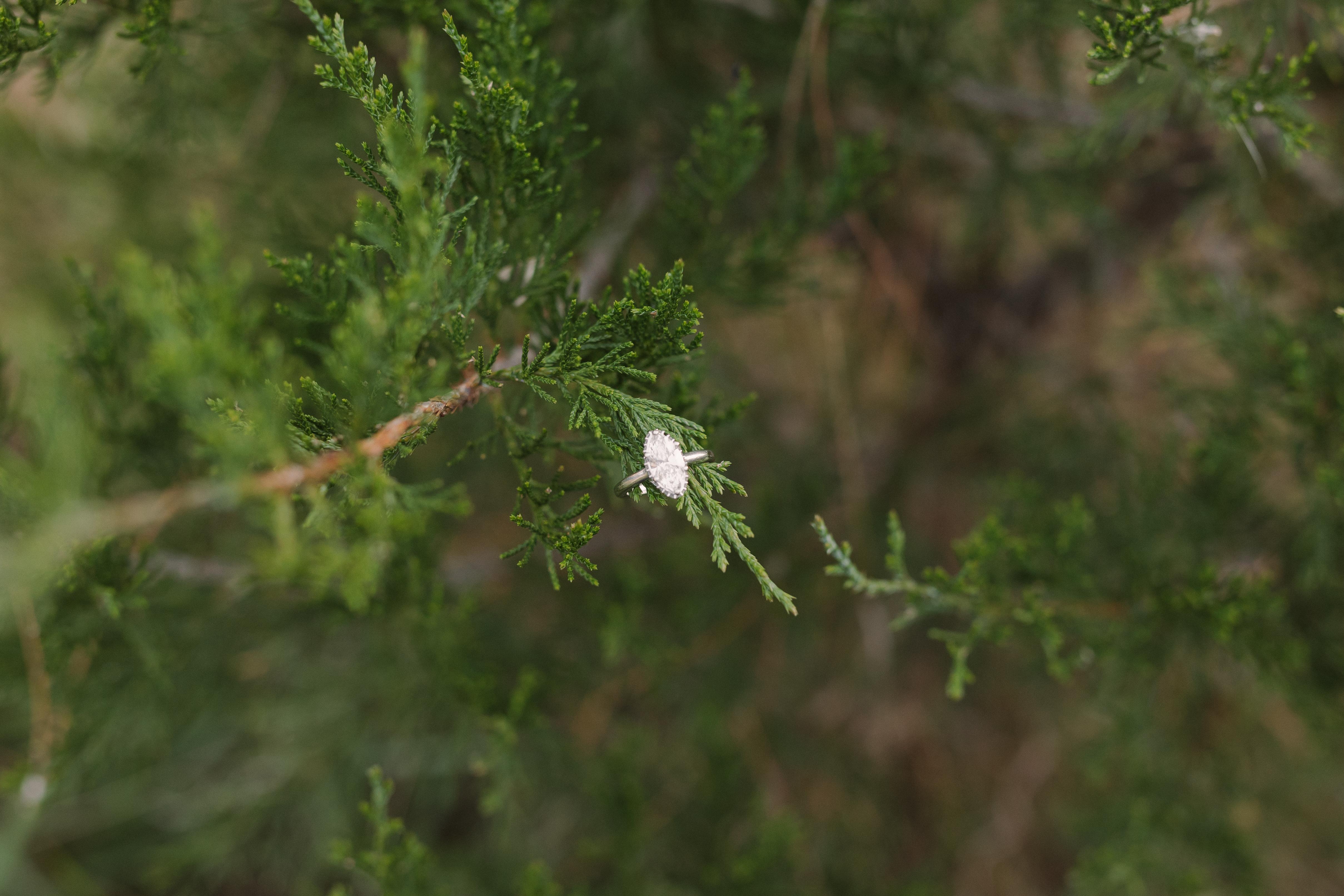 The Wedding Website of Ariana Huber and Tyson Gislason