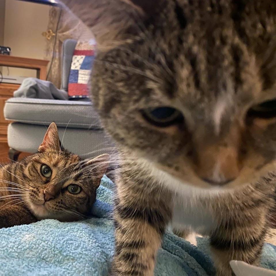 "Hey mom, whatcha doin?"