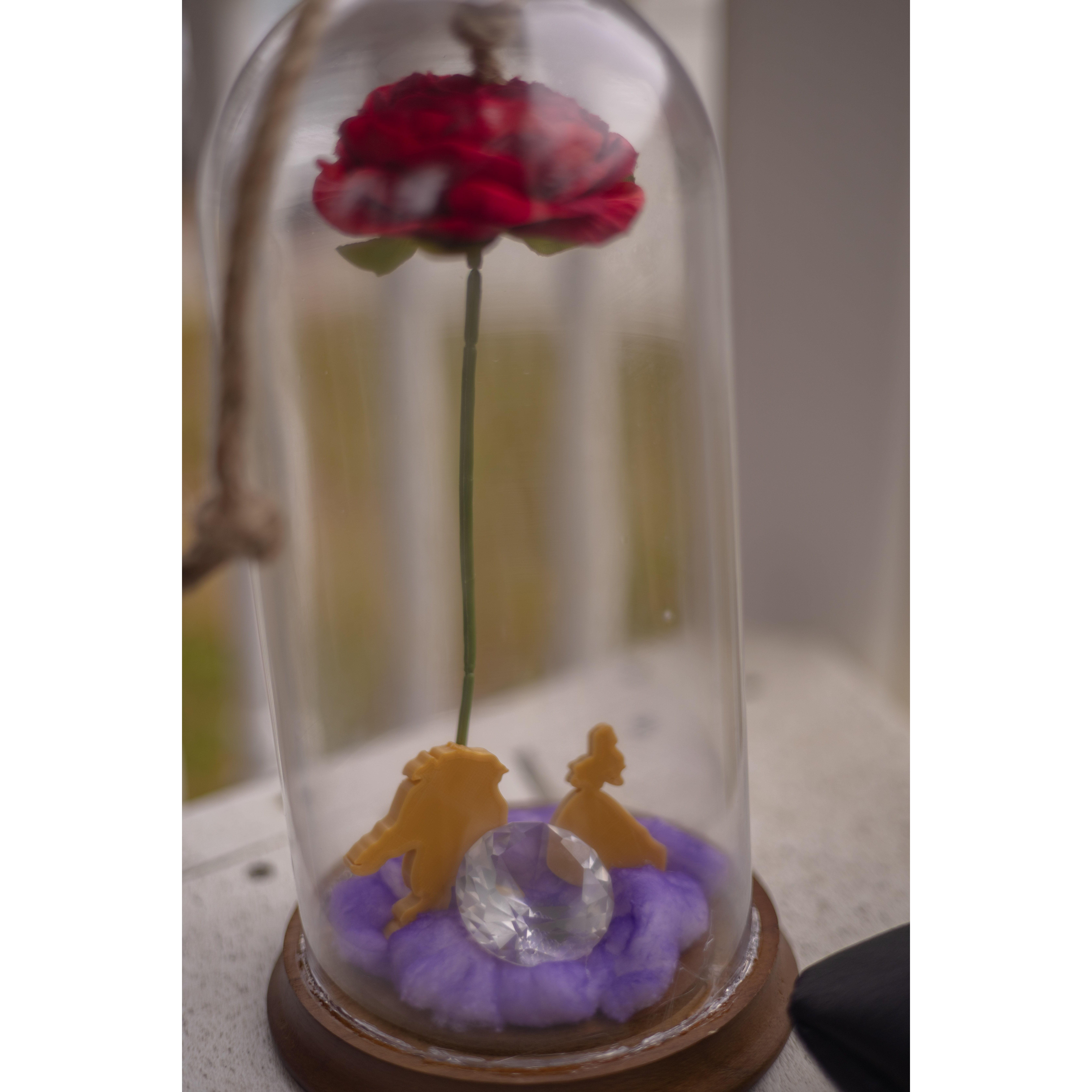 Anniversary gift from Tony